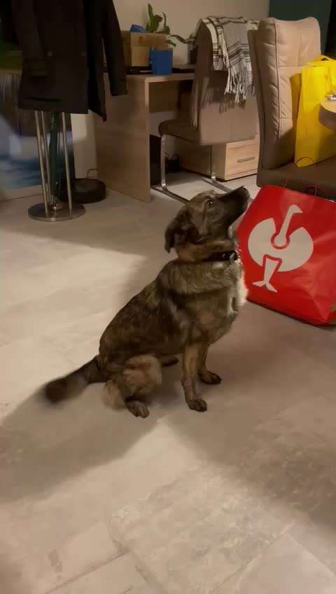 Trick Challange Nr 3-Beitrag-Bild