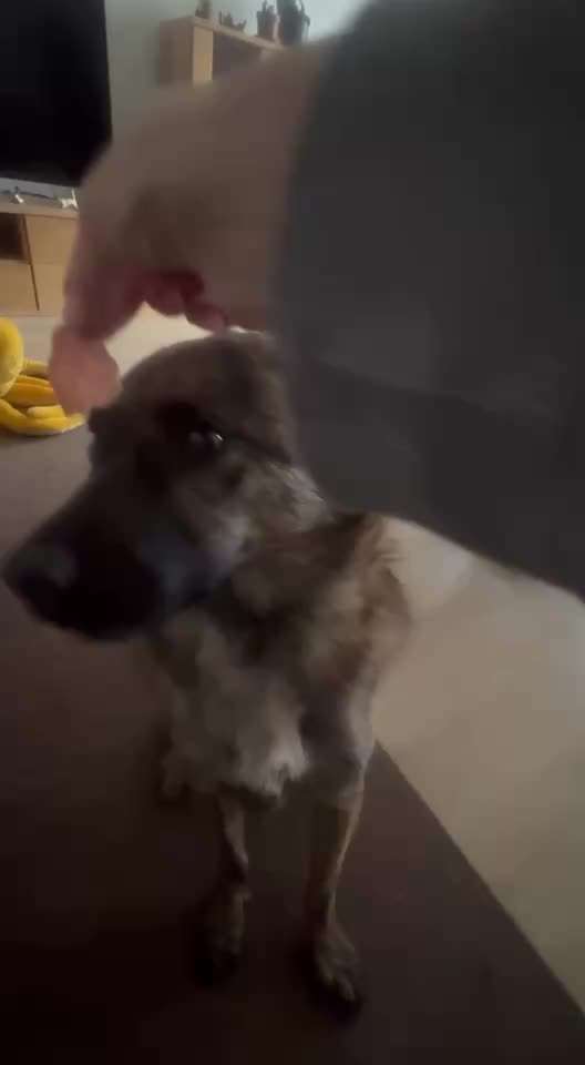 44. Impulskontrolle Callenge: ,,Essen ins Gesicht legen"-Beitrag-Bild