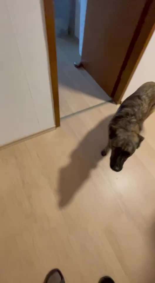 Trick Spiel - ich packe meinen 11. Koffer-Beitrag-Bild