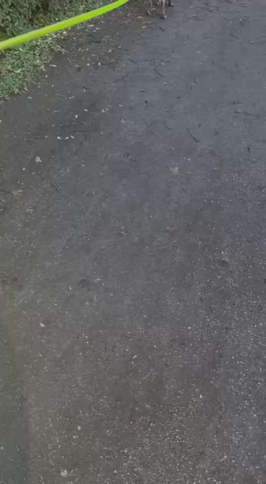 "Wege zur Freundschaft" (Ulli Reichmann)-Beitrag-Bild