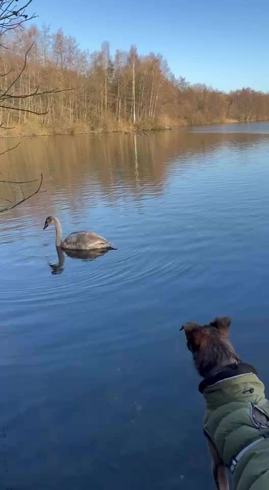 "Wege zur Freundschaft" (Ulli Reichmann)-Beitrag-Bild