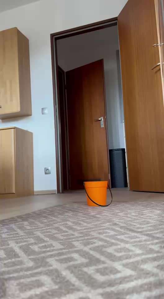 Trickchallenge Nr. 85   ,,Schau rein,,-Beitrag-Bild