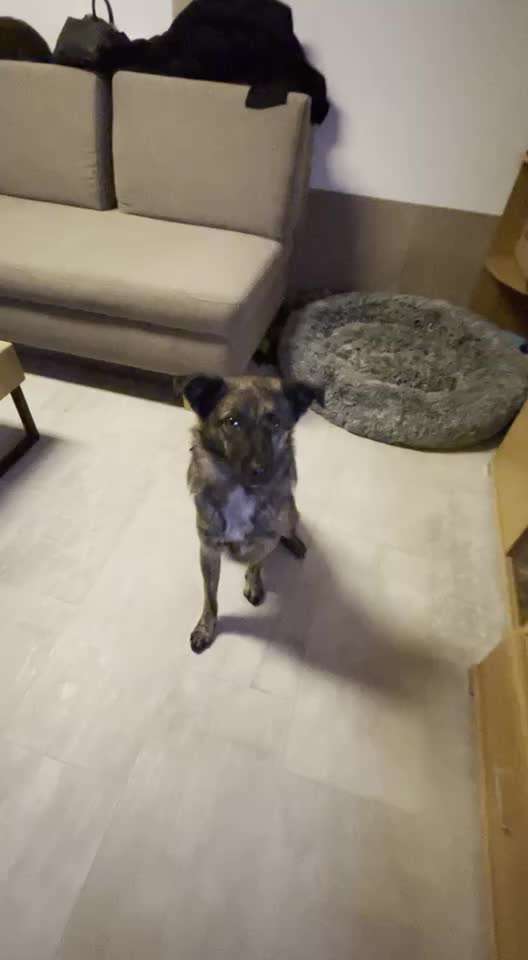 Trick Spiel - ich packe meinen 7. Koffer-Beitrag-Bild