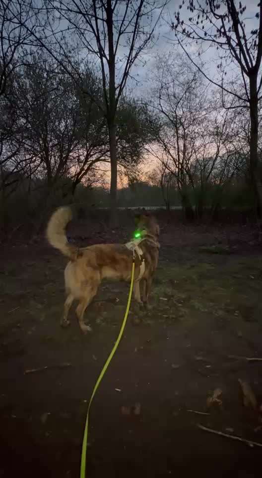 "Wege zur Freundschaft" (Ulli Reichmann)-Beitrag-Bild