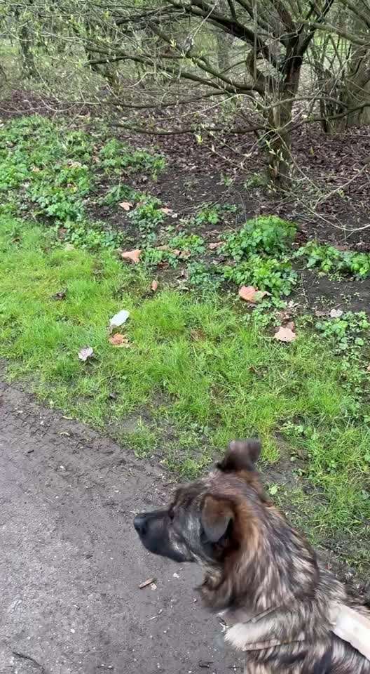 "Wege zur Freundschaft" (Ulli Reichmann)-Beitrag-Bild