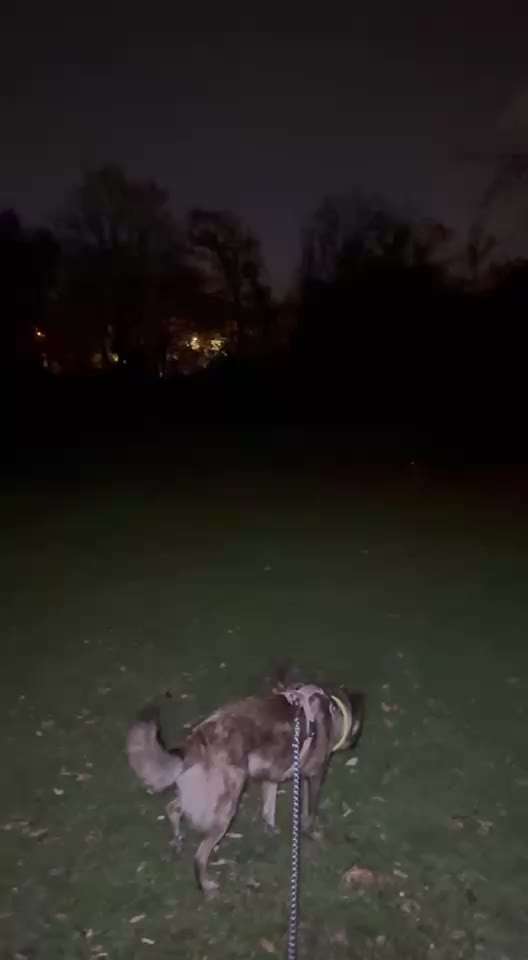 "Wege zur Freundschaft" (Ulli Reichmann)-Beitrag-Bild