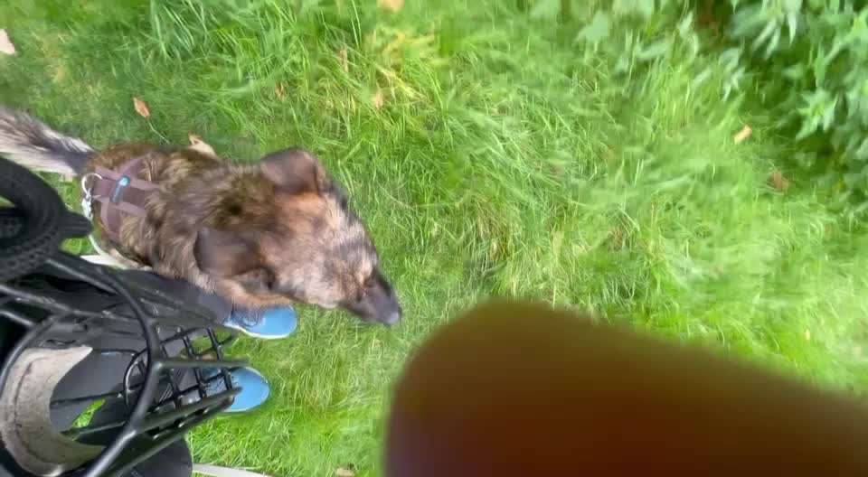 Trickchallenge - ich packe meinen 4. Koffer-Beitrag-Bild