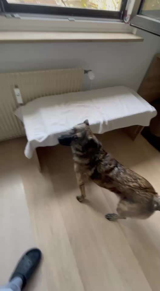 Trick Spiel - ich packe meinen 9. Koffer-Beitrag-Bild