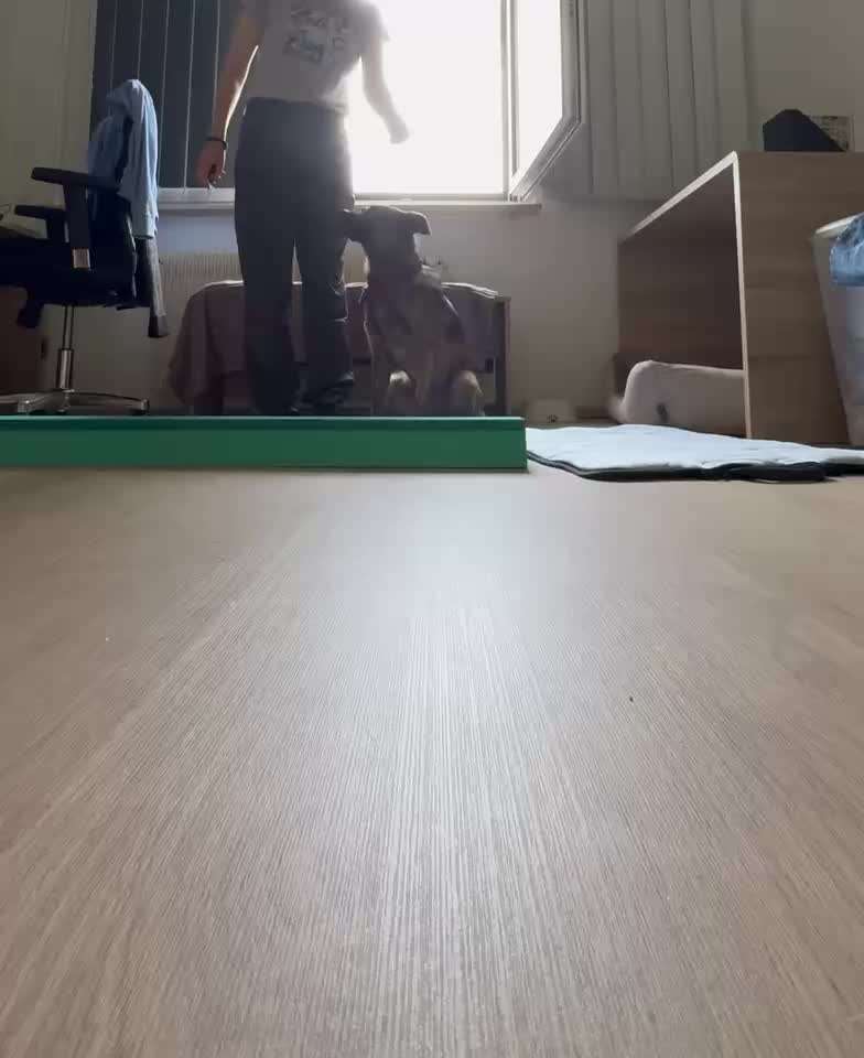 93. Gemeinsames Tricktraining VOR-Beitrag-Bild
