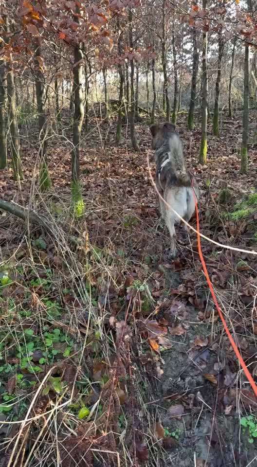 "Wege zur Freundschaft" (Ulli Reichmann)-Beitrag-Bild