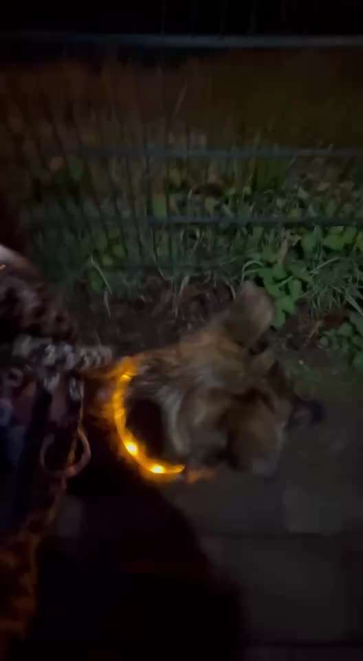 "Wege zur Freundschaft" (Ulli Reichmann)-Beitrag-Bild