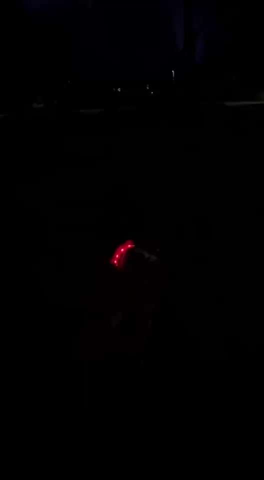 "Wege zur Freundschaft" (Ulli Reichmann)-Beitrag-Bild