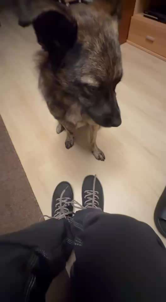 79. Trickspiel: Schuhe/Schleife öffnen-Beitrag-Bild