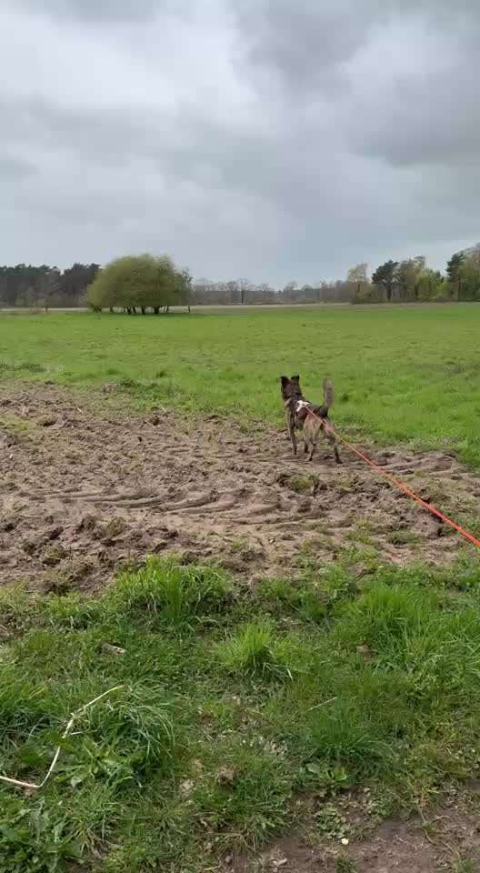 "Wege zur Freundschaft" (Ulli Reichmann)-Beitrag-Bild