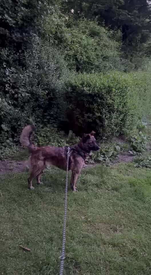 "Wege zur Freundschaft" (Ulli Reichmann)-Beitrag-Bild