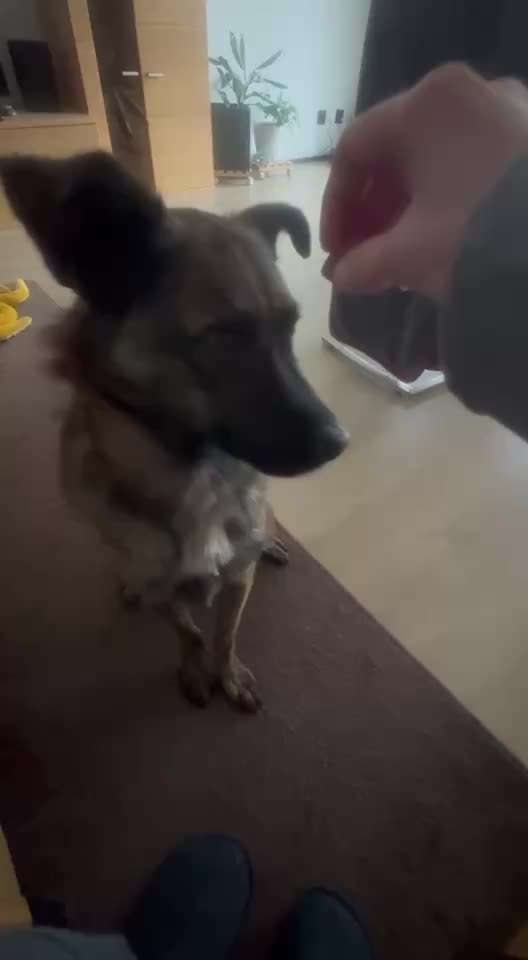 44. Impulskontrolle Callenge: ,,Essen ins Gesicht legen"-Beitrag-Bild