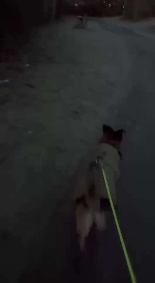 "Wege zur Freundschaft" (Ulli Reichmann)-Beitrag-Bild