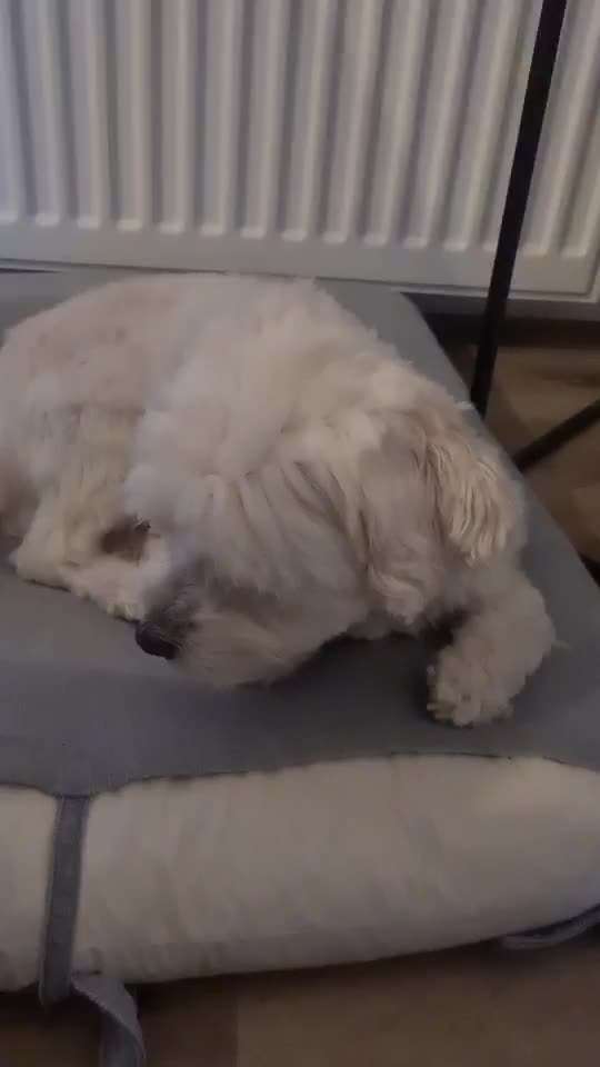 Komisches Dauerschlucken-Beitrag-Bild