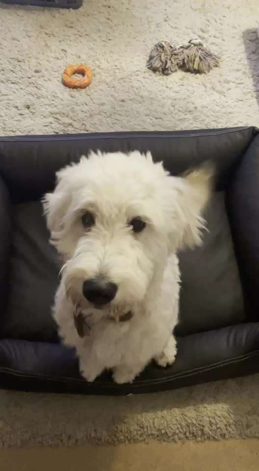 𝕋ℝ𝕀ℂ𝕂 ℂℍ𝔸𝕃𝕃𝔼ℕ𝔾𝔼 ℕℝ. 𝟙-Beitrag-Bild