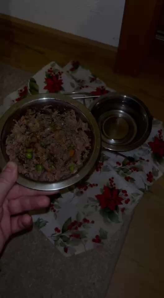 Butternut Box- Erfahrungen / Meinungen?-Beitrag-Bild