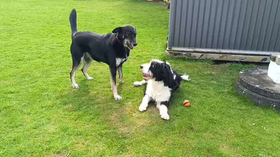 aktuelles Foto Gruppe Körpersprache lesen & verstehen