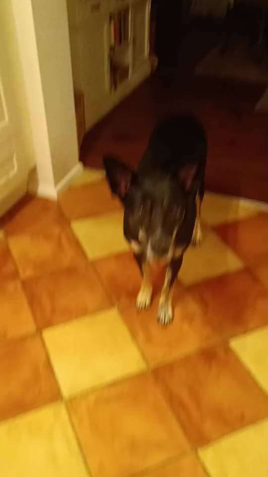 aktuelles Foto Gruppe Trickkiste