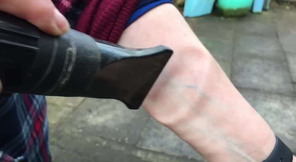 Wohnen mit Hund/ Hunden-Beitrag-Bild