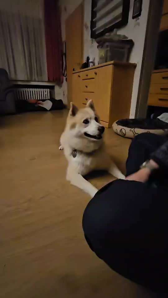 Trick Spiel - Koffer packen - der 15.-Beitrag-Bild