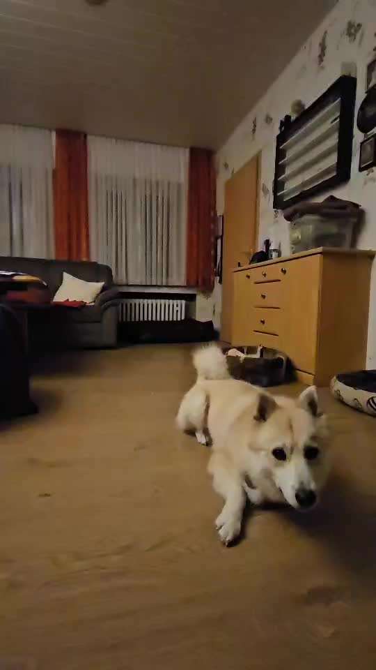 Trick Spiel - Koffer packen - der 14.-Beitrag-Bild