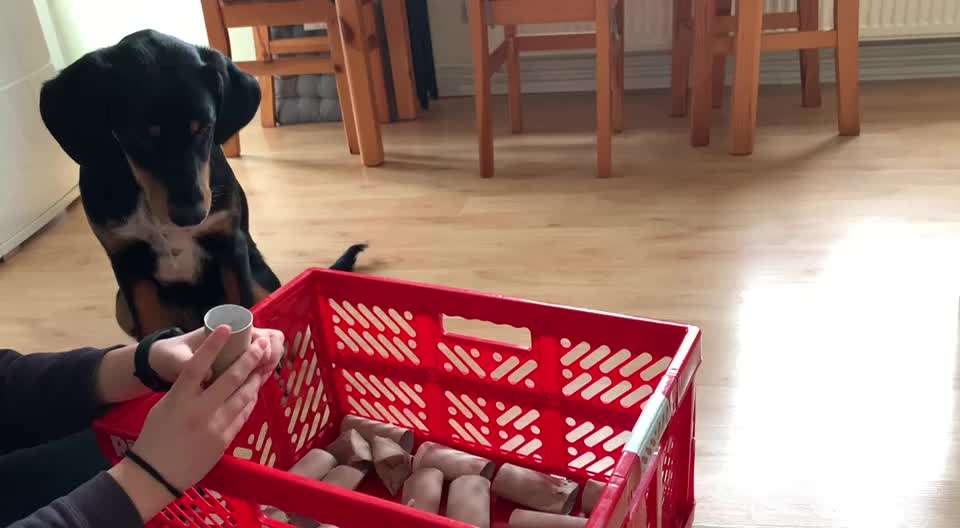 Geistige Förderung-Beitrag-Bild