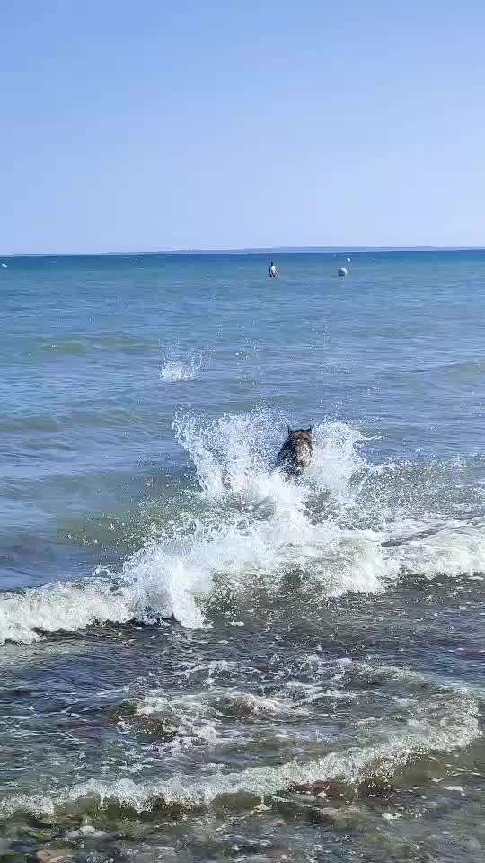 50. Video Challenge - Wasserscheu oder nicht-Beitrag-Bild