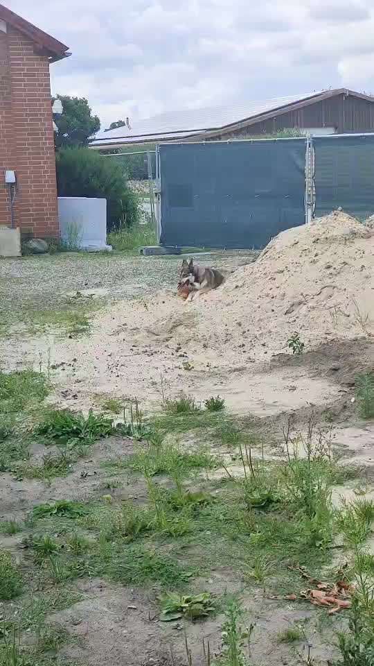 44. Video Challenge - Spielen mit dem Lieblingsspielzeug-Beitrag-Bild