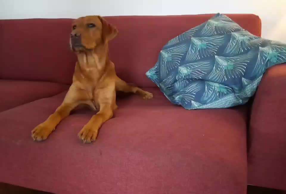 𝕋ℝ𝕀ℂ𝕂 ℂℍ𝔸𝕃𝕃𝔼ℕ𝔾𝔼 ℕℝ. 𝟚-Beitrag-Bild