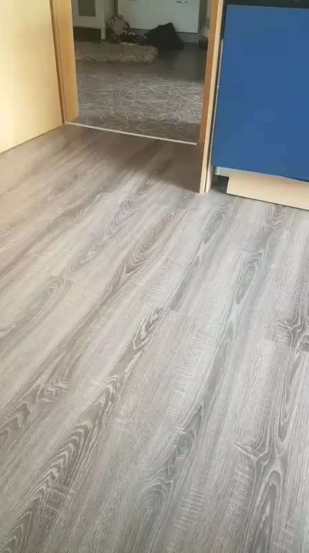 Zeigt hier Euer liebstes Video Eurer Hunde-Beitrag-Bild