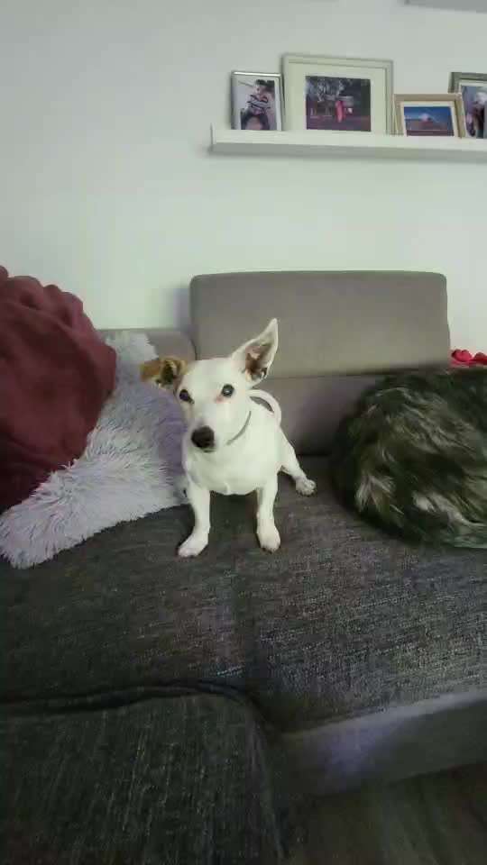 Trick Challenge Nr. 12-Beitrag-Bild