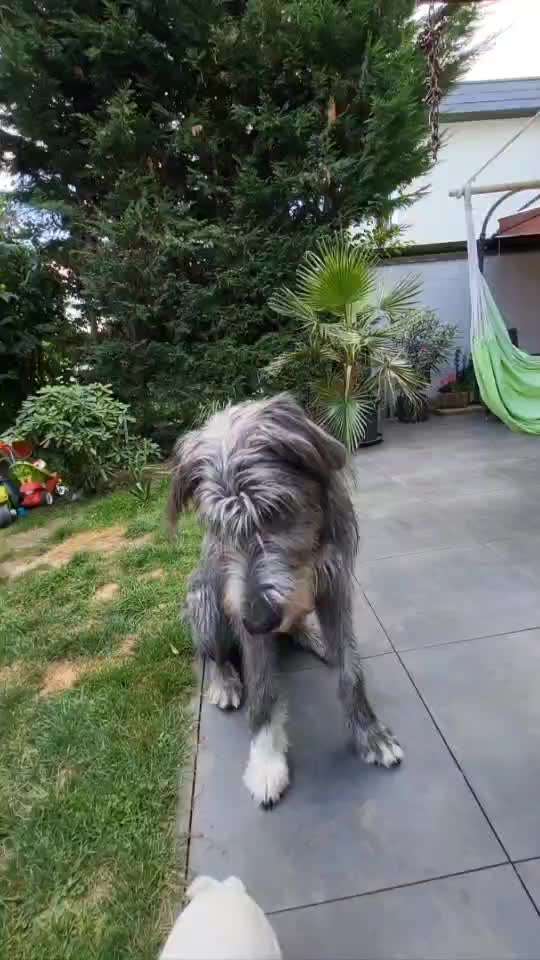 Trick Challenge Nr. 16-Beitrag-Bild