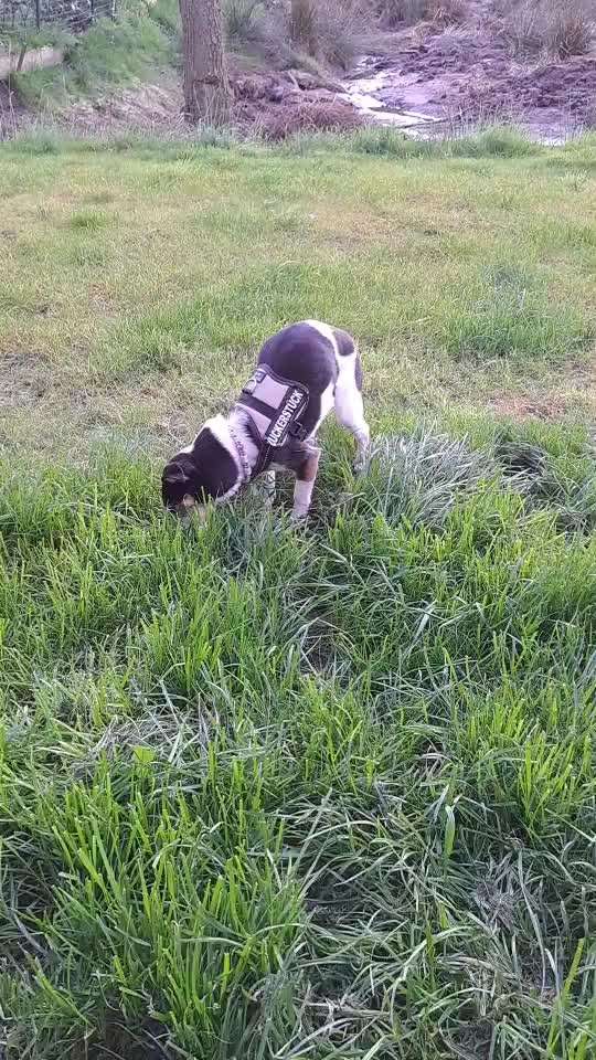 Wissenswoche - Deine Fragen zum Event-Beitrag-Bild