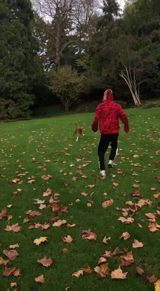 Dogorama Photo Challenge - Frühjahrsmüdigkeit-Beitrag-Bild