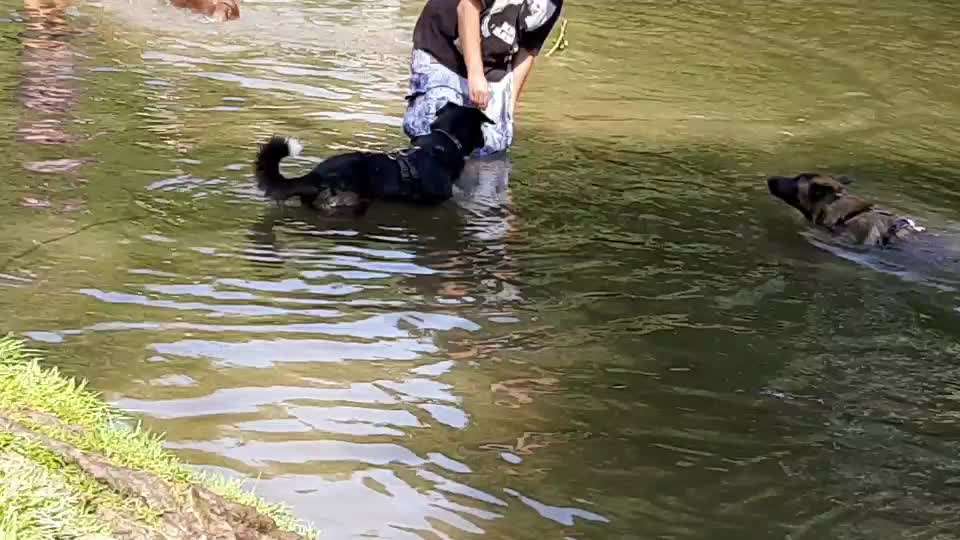 Dogorama-Monats-Challenge-Mai "Wasser"-Beitrag-Bild