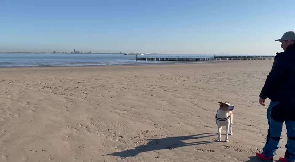 7. Kurzgeschichten Challenge: Spaziergang am Strand-Beitrag-Bild