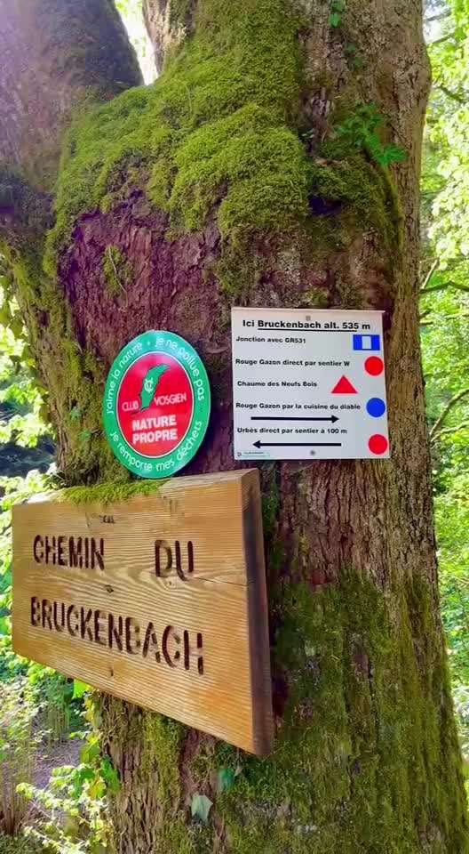 aktuelles Foto Gruppe Wandern und Outdoor