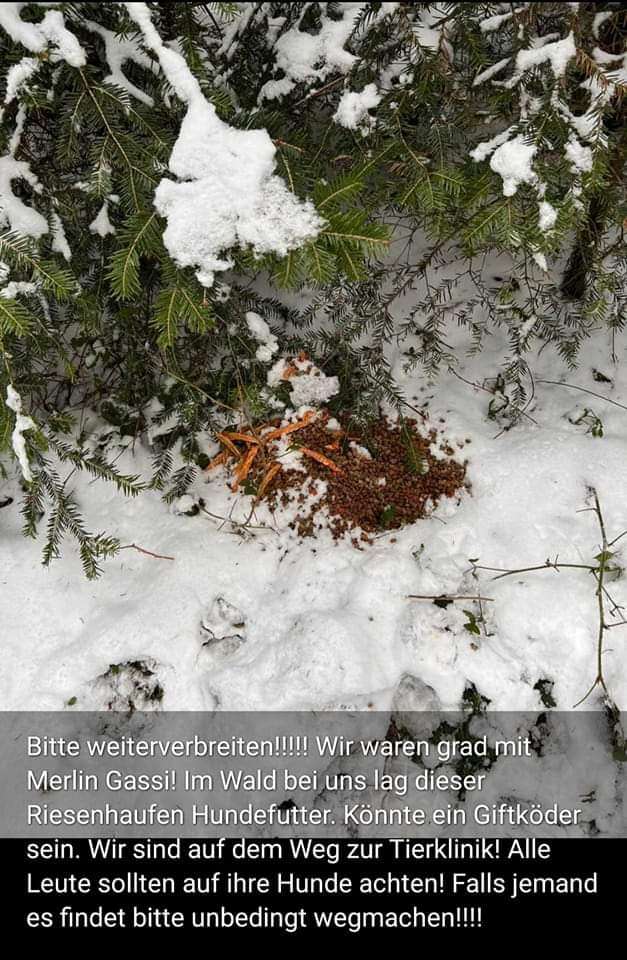 Giftköder-Giftköder-Profilbild