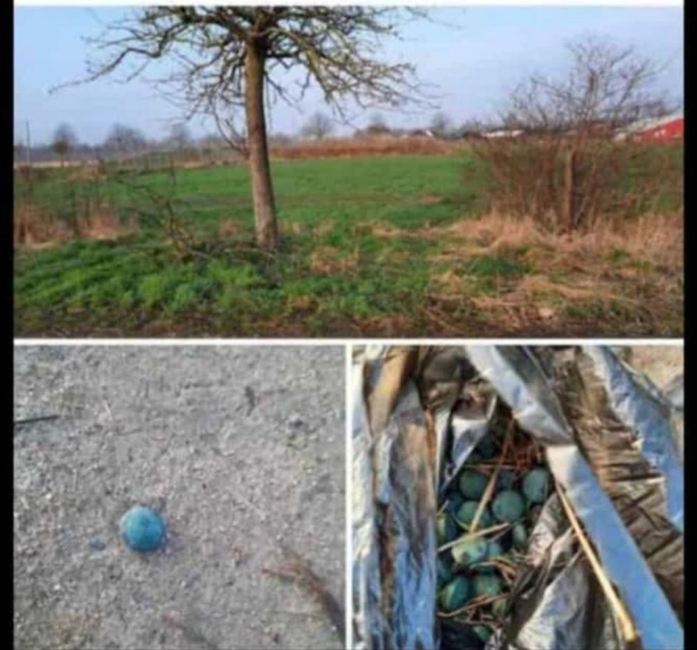 Giftköder-Giftköder - blaue Kugeln-Profilbild