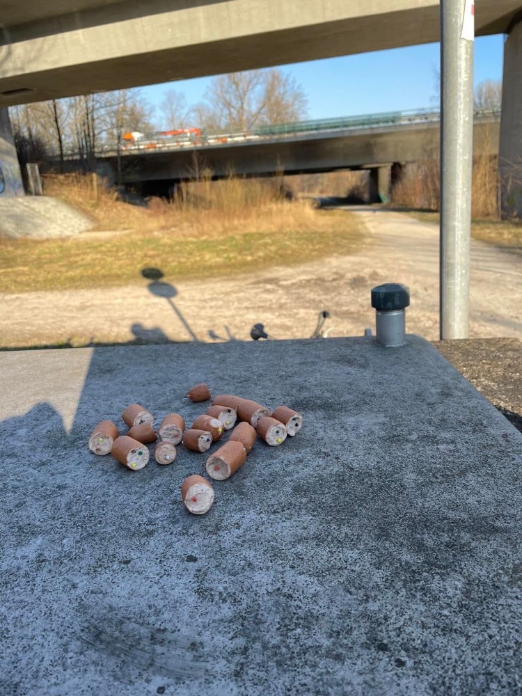 Giftköder-GIFTKÖDER !!-Profilbild