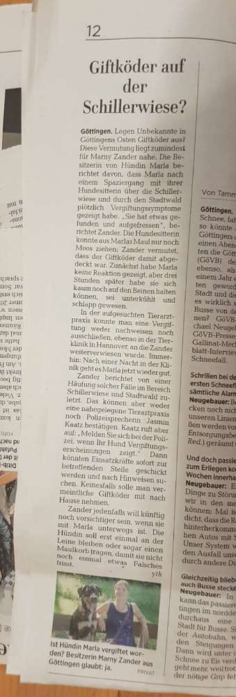 Giftköder-Giftköder-Profilbild