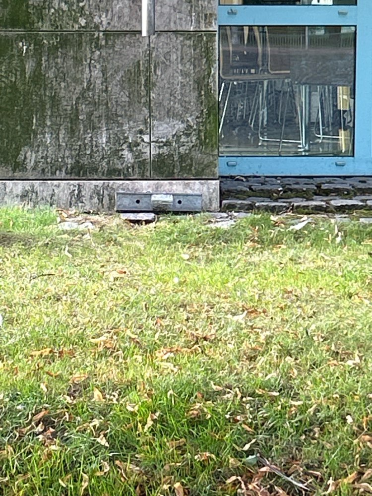 Giftköder-Rattengift-Profilbild