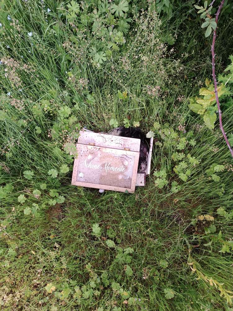 Giftköder-Kadaver-Profilbild