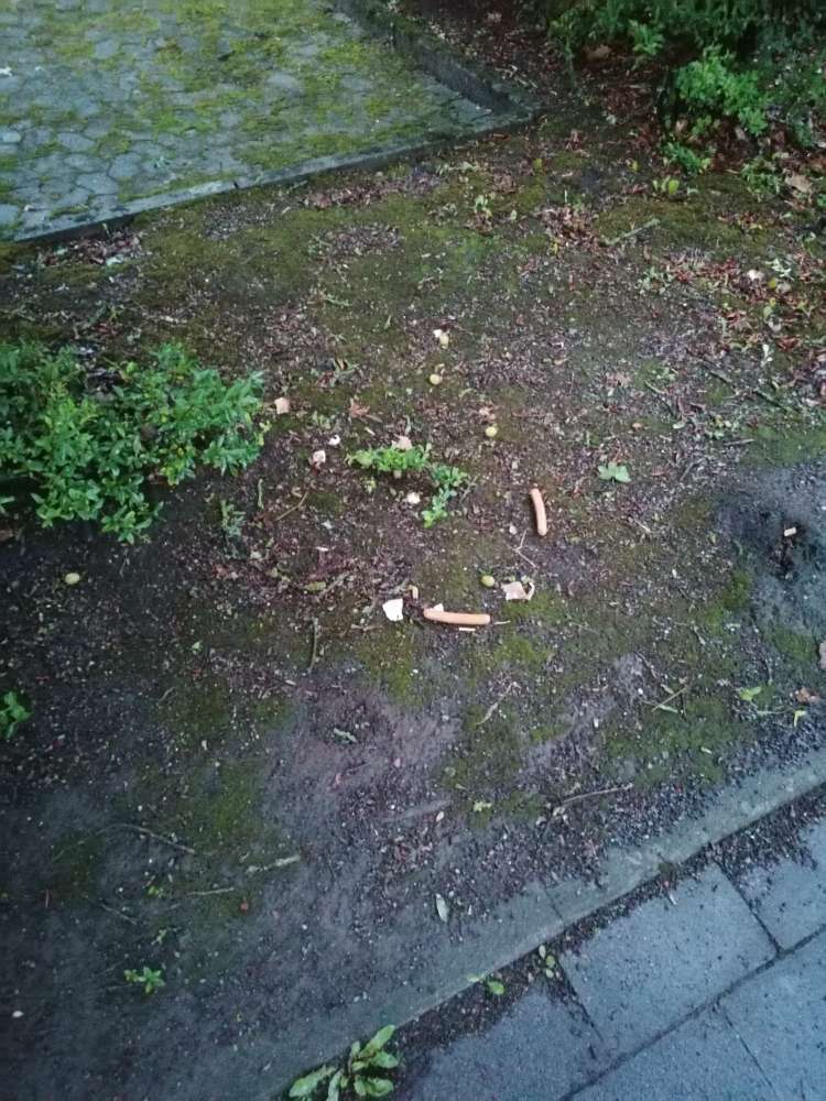 Giftköder-Verdächtiges Fleisch und Weintrauben-Profilbild