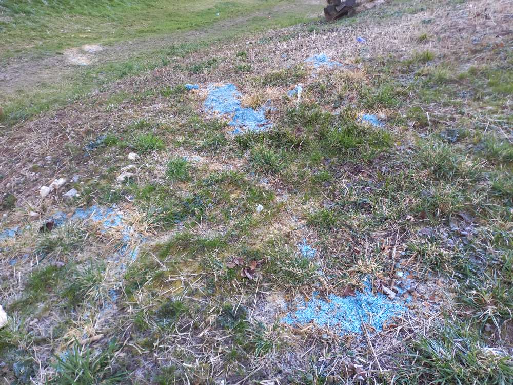 Giftköder-Blaues Pulver/Körner-Profilbild