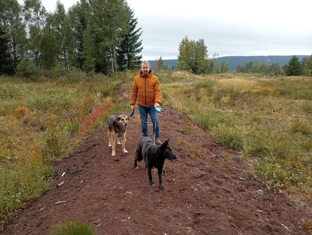 Hundetreffen-Hunde Gassi mit Erfahrungsaustausch-Profilbild